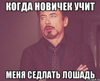 когда новичек учит меня седлать лошадь