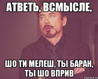 Атветь, Всмысле, шо ти мелеш, ты баран, ты шо вприв