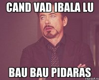 Cand vad Ibala lu Bau Bau Pidaras