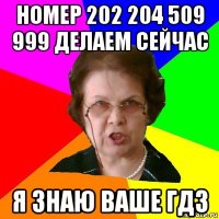 номер 202 204 509 999 делаем сейчас я знаю ваше гдз