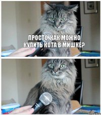 Просто, как можно купить кота в мИшке? 