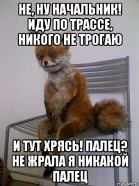 Не, ну начальник! Иду по трассе, никого не трогаю и тут хрясь! Палец? Не жрала я никакой палец