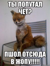 ты попутал чёт? пшол отсюда в жопу!!!!!