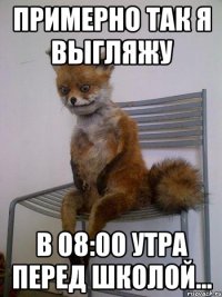 Примерно так я выгляжу в 08:00 утра перед школой...