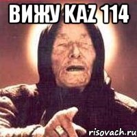 Вижу KAZ 114 