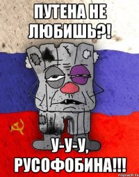 Путена не любишь?! У-у-у, русофобина!!!