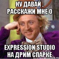 Ну давай , расскажи мне о Expression Studio на дрим спарке