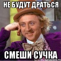 Не будут драться Смеши сучка