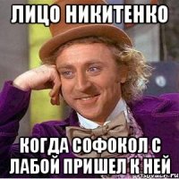 Лицо Никитенко Когда софокол с лабой пришел к ней