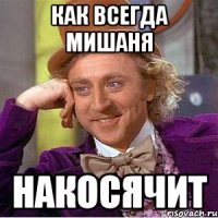 Как всегда Мишаня Накосячит