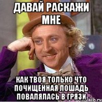 давай раскажи мне как твоя только что почищенная лошадь повалялась в грязи