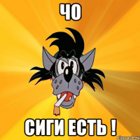 чо сиги есть !