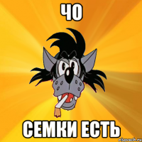 чо семки есть