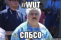 #wut СПбСО