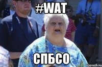 #wat спбсо