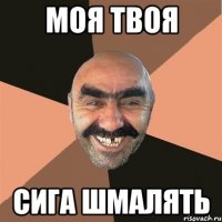 моя твоя сига шмалять