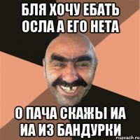 бля хочу ебать осла а его нета о Пача скажы иа иа из Бандурки
