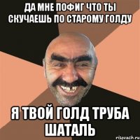 да мне пофиг что ты скучаешь по старому голду я твой голд труба шаталь