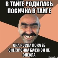 В тайге родилась Посичка в тайге Она росла пока ее снегурочка базукой не снесла