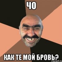 Чо как те мой бровь?
