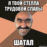 Я твой стелла трудовой славы шатал