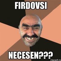 Firdovsi Necesen???