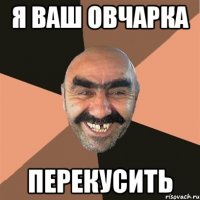 я ваш овчарка перекусить