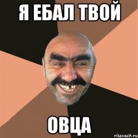 я ебал твой овца