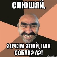 Слюшяй, Зочэм злой, как собак? А?!