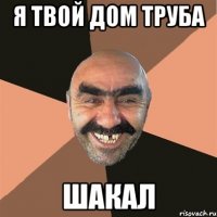 я твой дом труба шакал
