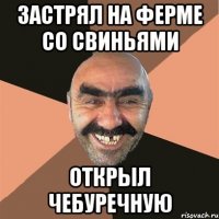 Застрял на ферме со свиньями Открыл чебуречную