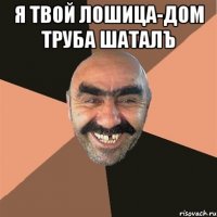 Я твой лошица-дом труба шаталъ 