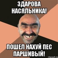 Здарова насяльника! Пошел нахуй пес паршивый!
