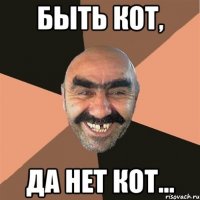 Быть кот, Да нет кот...