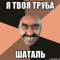 я твоя труба шаталь