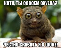 КОТЯ, ТЫ СОВСЕМ ОХУЕЛА? ЧЕСТНО СКАЗАТЬ Я В ШОКЕ!