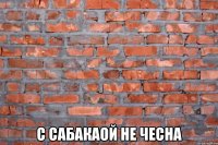 с сабакаой не чесна