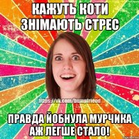 Кажуть коти знімають стрес Правда йобнула мурчика аж легше стало!