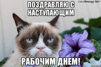 Поздравляю с наступающим рабочим днем!