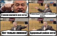 В моем магните все есть! И виноград 3-х видов и памело, и манго... Нет только лимона! Здоровый район епта!