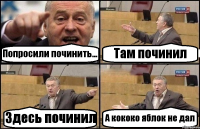 Попросили починить... Там починил Здесь починил А кококо яблок не дал