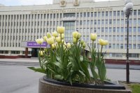  прекрасный день воскресенье в прекрасном городе южно-сахалинск! #like65, Мем аысысы