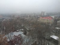 посмотри как прекрасен мир без наркотиков, Мем Прекрасный мир