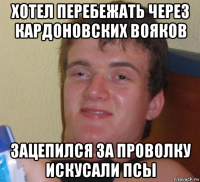 Хотел перебежать через Кардоновских Вояков Зацепился за проволку искусали псы