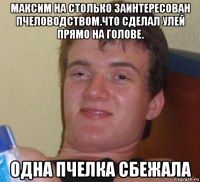 максим на столько заинтересован пчеловодством.что сделал улей прямо на голове. одна пчелка сбежала