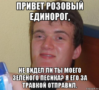 привет розовый единорог, не видел ли ты моего зеленого песика? я его за травкой отправил.