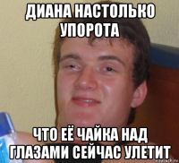 диана настолько упорота что её чайка над глазами сейчас улетит