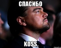 Спасибо koss