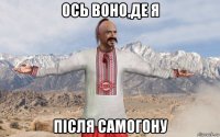 ось воно,де я після самогону