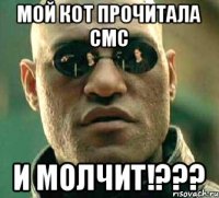 Мой кот прочитала смс И МОЛЧИТ!???